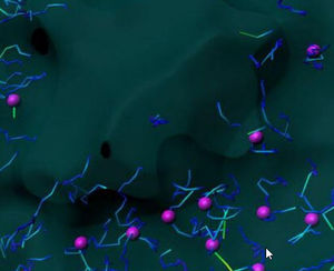 software para microscopios digitales