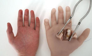 simulador de cirugía / de formación / mano