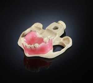 modelo anatómico sinovial 1