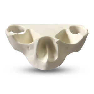 modelo anatómico sinovial 1