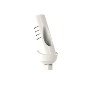 pilar para implante de PEEK 1