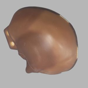 modelo anatómico de hueso
