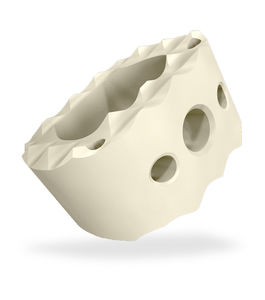 caja intersomática cervical 1