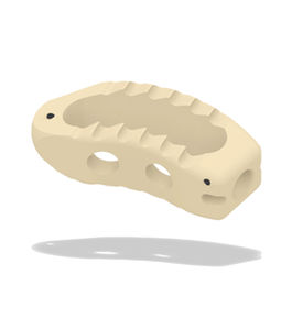 caja intersomática lumbar 1