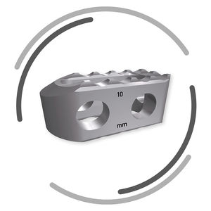 caja intersomática lumbar