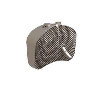 caja intersomática lumbar