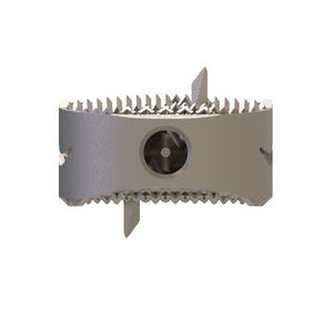 caja intersomática cervical