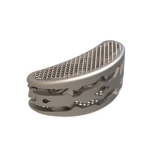 caja intersomática lumbar