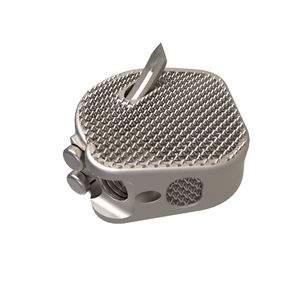 caja intersomática lumbar