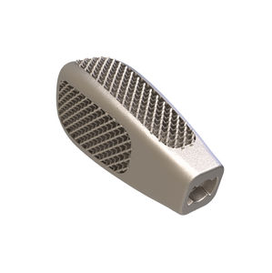 caja intersomática lumbar