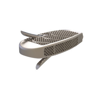 caja intersomática lumbar