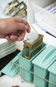 rollo de etiquetas para portaobjetos de microscopio 1