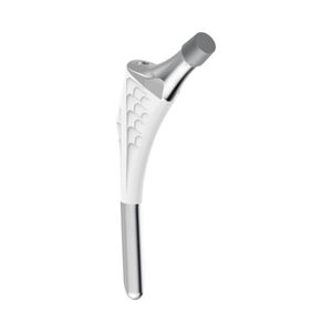 vástago femoral no cementado