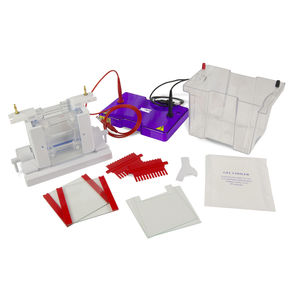 sistema de electroforesis para proteínas / vertical / de mesa
