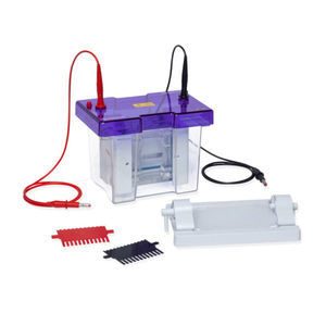 sistema de electroforesis para proteínas