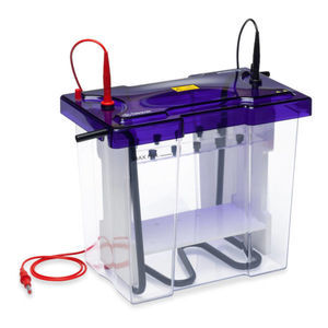 sistema de electroforesis capilar