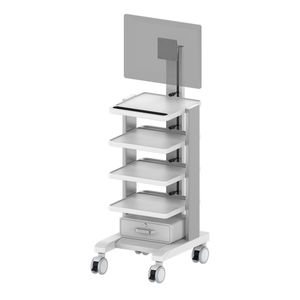 carro para endoscopia