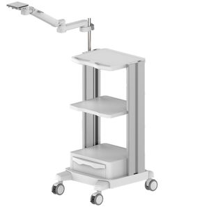 carro para endoscopia