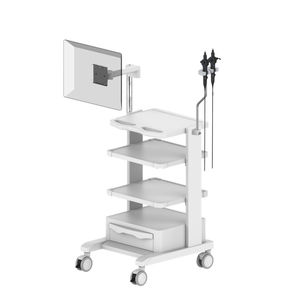 carro para endoscopia