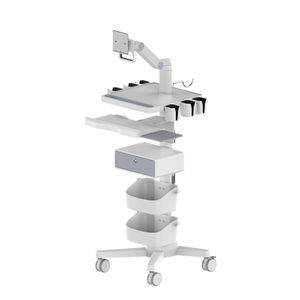 carro para endoscopia 1