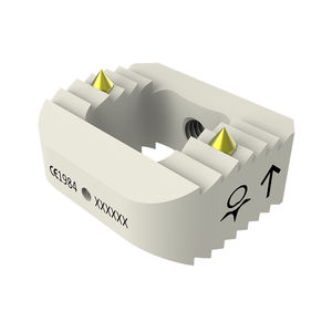 caja intersomática cervical