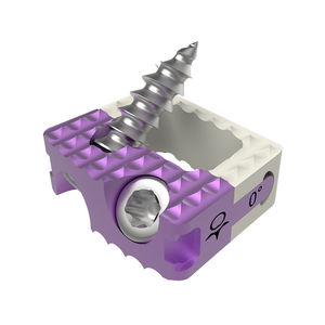 caja intersomática cervical