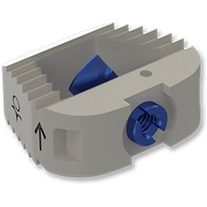caja intersomática de PEEK 1