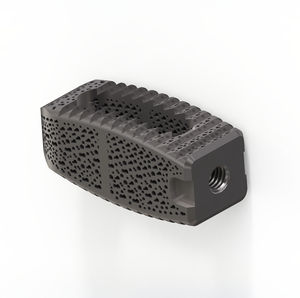 caja intersomática lumbar