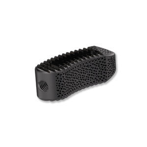 caja intersomática lumbar
