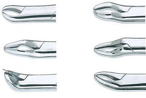 pinza dental