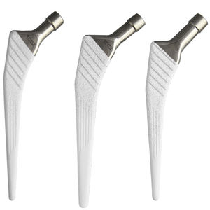 vástago femoral no cementado