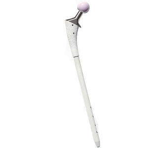 vástago femoral de revisión