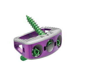 caja intersomática lumbar