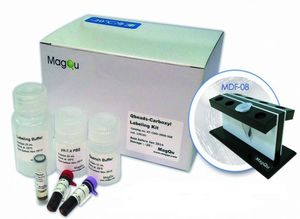 kit de reactivos de bolas magnéticas