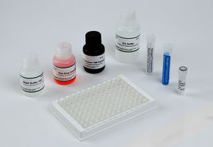 kit de prueba para aplicaciones forenses 1