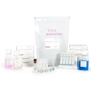 kit de reactivos polimerasa Taq