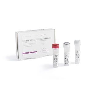 kit de reactivos para amplificación isotérmica
