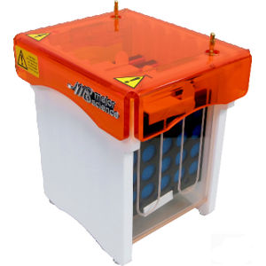 cubeta para blot para western blot