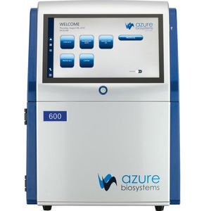 sistema de imagen molecular para western blot