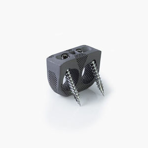 caja intersomática lumbar