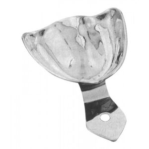 molde dental dentadura parcial
