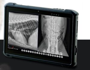 sistema de radiografía veterinaria digital 1