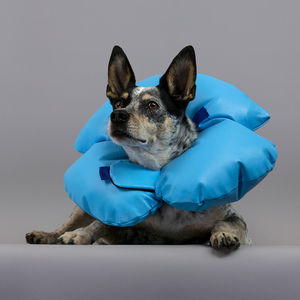 collarín veterinario para perros