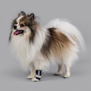 férula veterinaria de patas