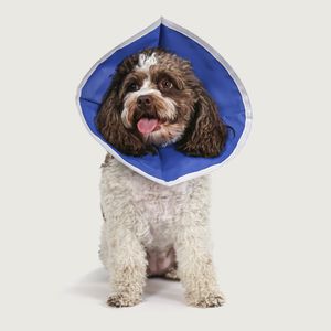 collarín veterinario para perros