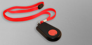 sistema de alarma collares 1