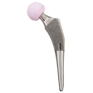 vástago femoral no cementado