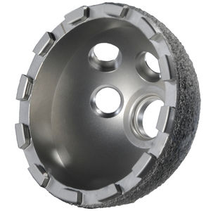 prótesis acetabular no cementada