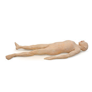 modelo anatómico cuerpo 1