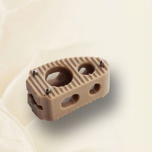 caja intersomática toracolumbar 1